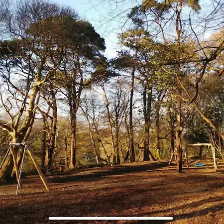 Woodland Bungalow, Fantastic Location Uny Lelant